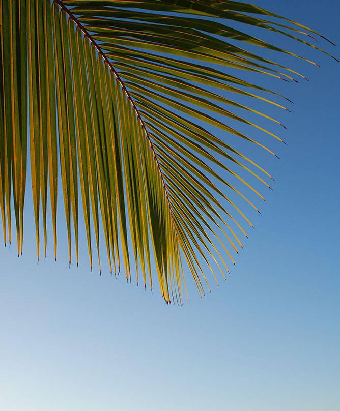 Hotel by the sea on the French Riviera in Menton (06)
